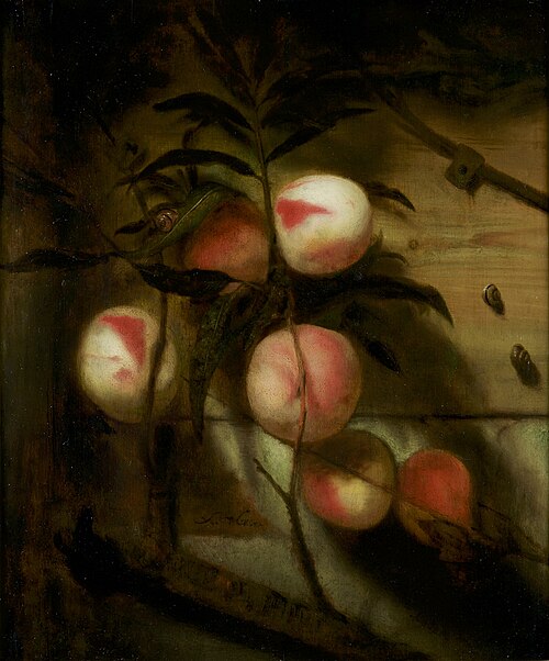 Still life of peaches, 1660, Nicolaes Maes