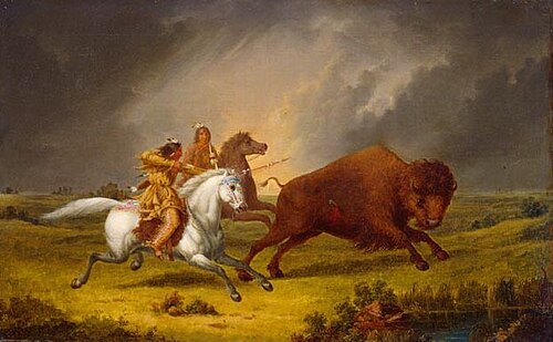 Assiniboine Hunting Buffalo, 1851, Paul Kane