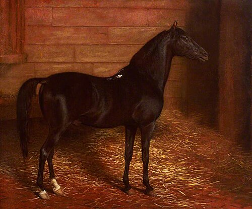 Arab Horse, the Second Sire, 1821, Jacques-Laurent Agasse