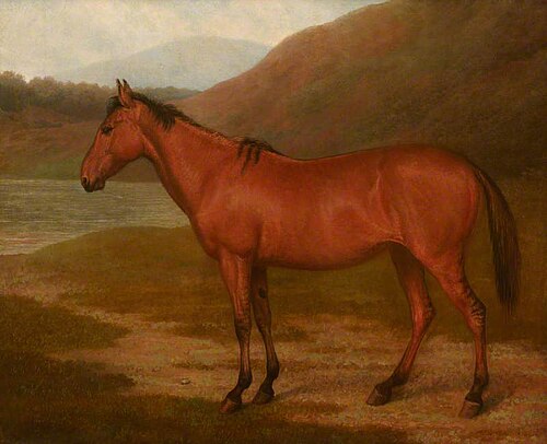 Foal of Mare and Quagga, 1821, Jacques-Laurent Agasse