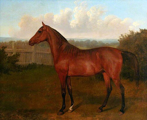 Colt of Mare and Arab Horse, 1821, Jacques-Laurent Agasse