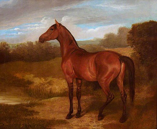 Colt of Mare and Arab Horse, 1821, Jacques-Laurent Agasse