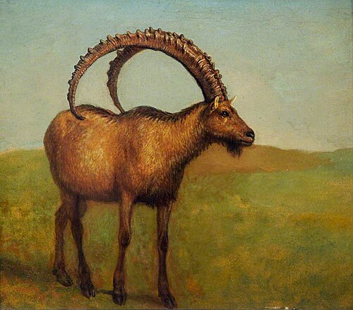 Ibex, , Jacques-Laurent Agasse