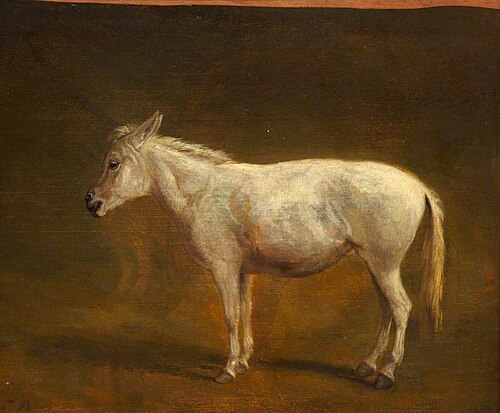 White Mule, , Jacques-Laurent Agasse