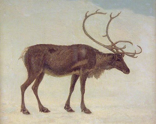 Rein Deer, , Jacques-Laurent Agasse