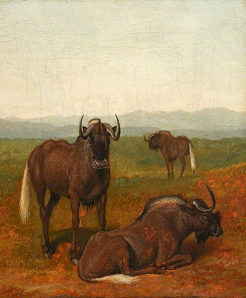 Gnus, , Jacques-Laurent Agasse