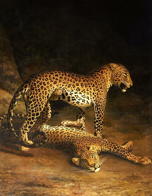 Two Leopards Lying in the Exeter, 1808, Jacques-Laurent Agasse
