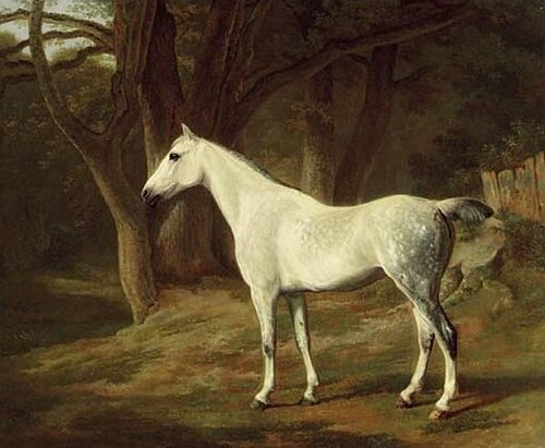 A grey hunter in a wooded landscape / Forest Dapple, , Jacques-Laurent Agasse