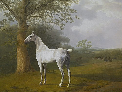 Cheval gris dans les prés, 1806, Jacques-Laurent Agasse