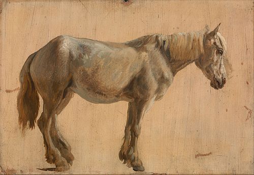 Study of a Grey Horse, 1800, Jacques-Laurent Agasse