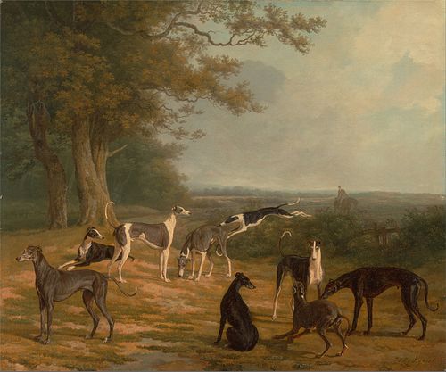 Nine Greyhounds in a Landscape, 1807, Jacques-Laurent Agasse