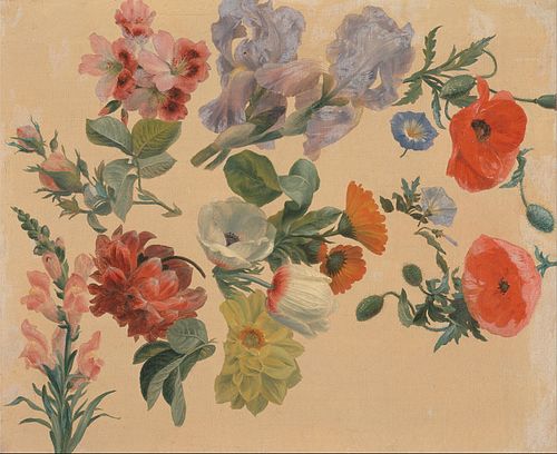 Studies of Summer Flower, 1848, Jacques-Laurent Agasse