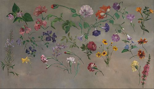 Studies of Flower, 1848, Jacques-Laurent Agasse