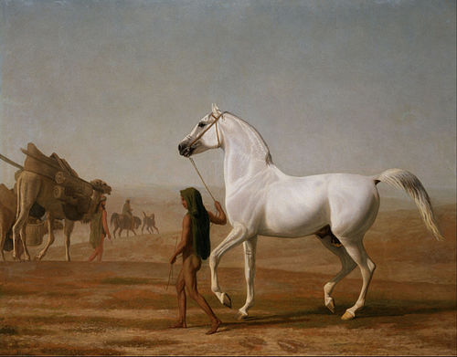 The Wellesley Grey Arabian Led through the Desert, 1810, Jacques-Laurent Agasse
