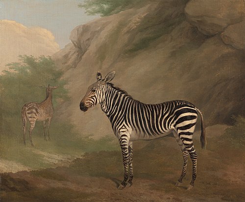 Zebra, 1803, Jacques-Laurent Agasse