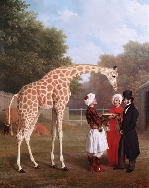 The Nubian Giraffe, 1827, Jacques-Laurent Agasse