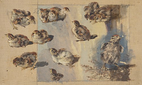 Study of Chicks, 1840, Friedrich Carl von Scheidlin