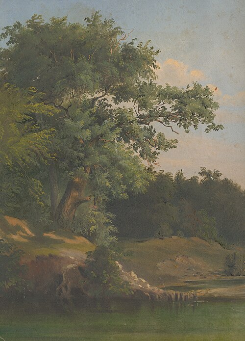 In the Forest, 1860, Friedrich Carl von Scheidlin