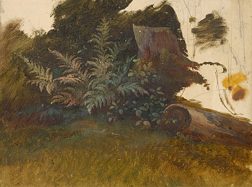 Mountain Vegetation, 1860, Friedrich Carl von Scheidlin