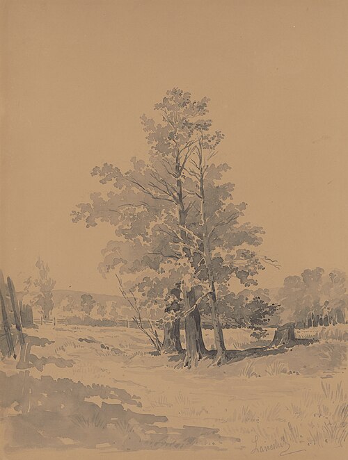 Trees at the Edge of the Forest, , Friedrich Carl von Scheidlin