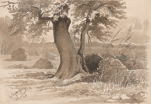 Landscape with a Spreading Tree in the Foreground, 1865, Friedrich Carl von Scheidlin
