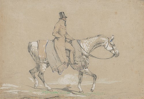 Rider, , Friedrich Carl von Scheidlin