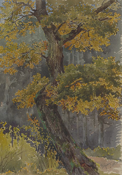 Study of Broadleaved Tree. Motif from Svätý Jur, , Friedrich Carl von Scheidlin