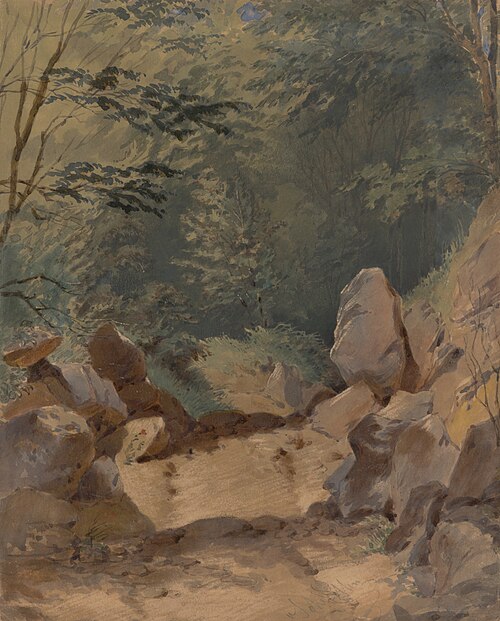 Forest Scenery with Rocks, , Friedrich Carl von Scheidlin