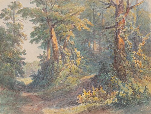 Forest Scenery, 1900, Friedrich Carl von Scheidlin