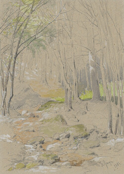 Forest Stream, , Friedrich Carl von Scheidlin