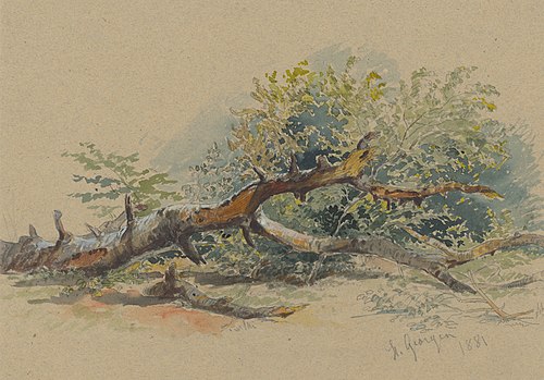 Study of a Cut Down Tree, , Friedrich Carl von Scheidlin