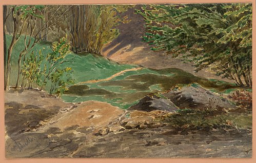 Forest Still Life, , Friedrich Carl von Scheidlin