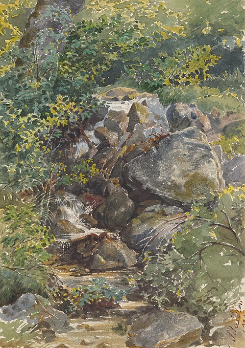 Forest Brook, , Friedrich Carl von Scheidlin