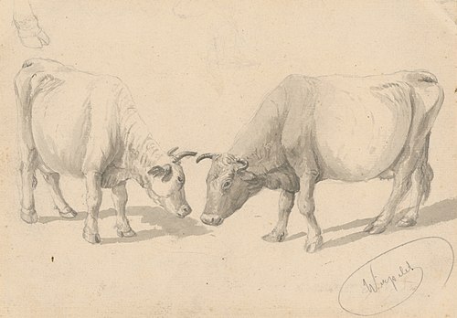 Study of Cows, 1852, Friedrich Carl von Scheidlin