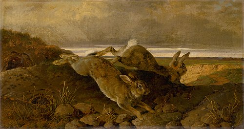 Utekajúce králiky, 1801, Friedrich Carl von Scheidlin