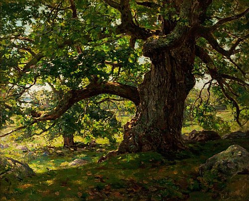 The Oak, 1903, Charles Harold Davis