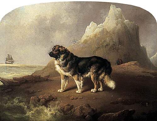 Newfoundland Dog, 1812, Charles Henry Schwanfelder