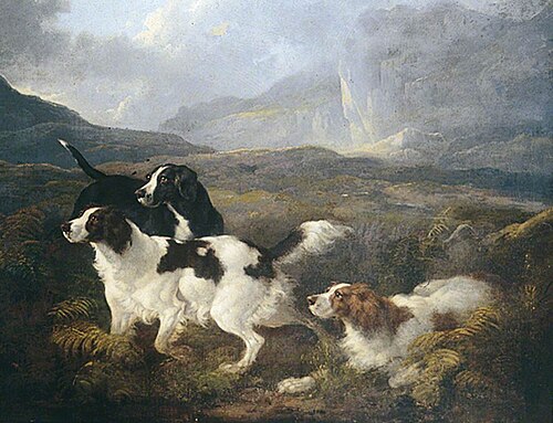A Pointer and Two Setters, , Charles Henry Schwanfelder