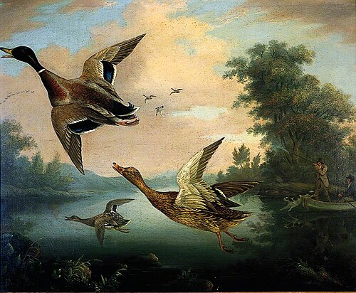 Duck Shooting, , Charles Henry Schwanfelder