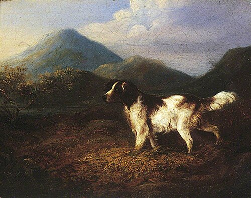 A Setter, , Charles Henry Schwanfelder