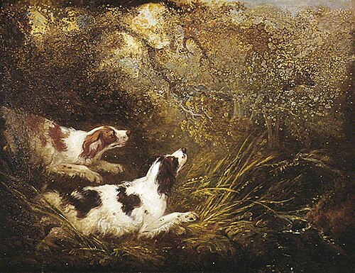 Dogs, , Charles Henry Schwanfelder