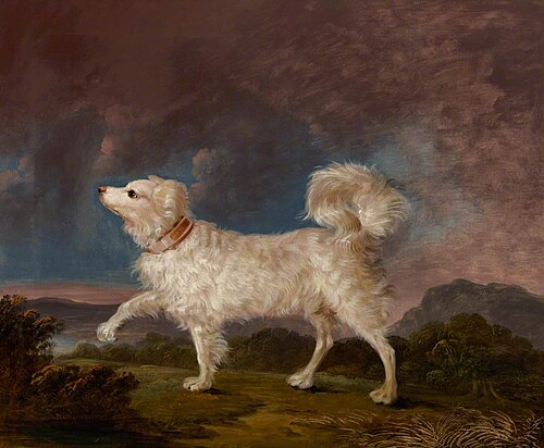 Portrait of a Dog, , Charles Henry Schwanfelder