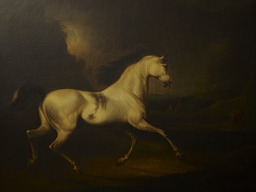 The Malcolm Arabian, 1814, Charles Henry Schwanfelder