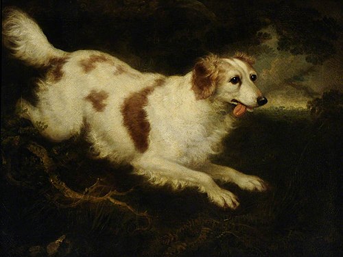 'Dash' a Spaniel, 1819, Charles Henry Schwanfelder