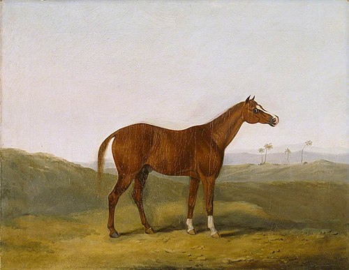 The Cole Arabian in an Indian Landscape, 1810, Charles Henry Schwanfelder