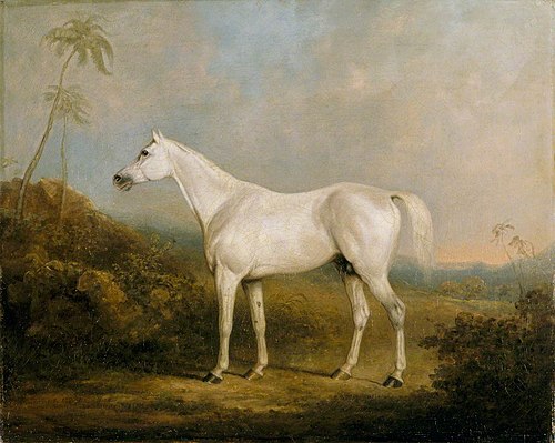 'Graniki', a Grey Arab Stallion in an Indian Landscape, 1818, Charles Henry Schwanfelder