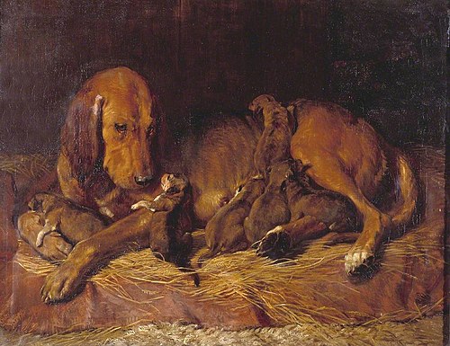 Bloodhound and Pups, 1839, Charles Landseer