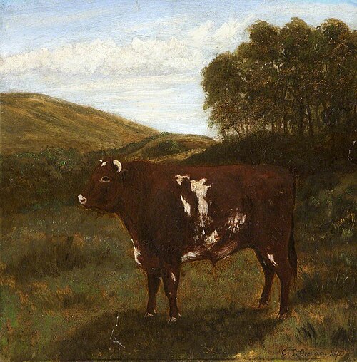 Shorthorn Bull (?), 1895, Charles Ovenden