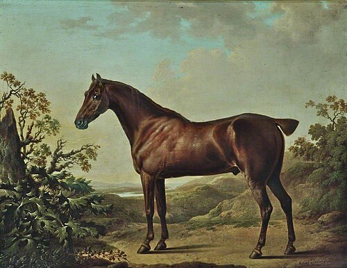 Brown Horse in a Landscape, 1810, Charles Towne