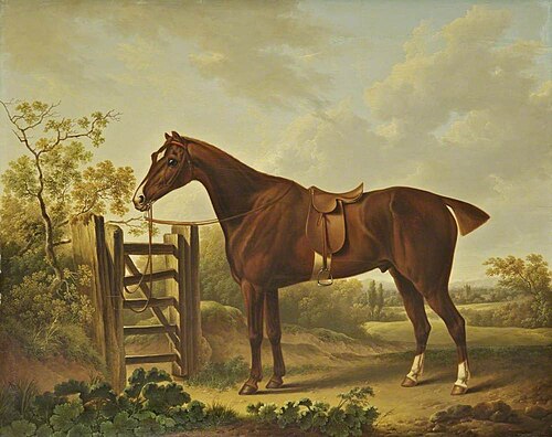 'Regent', a Favourite Horse of Sir Thomas Stanley of Hooton, Cheshire, 1814, Charles Towne